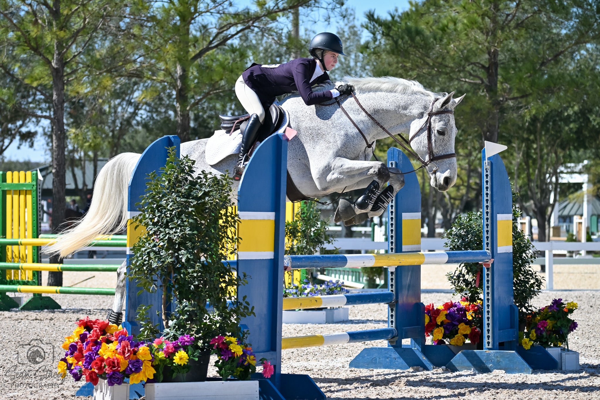 Equestrian jumper event with a horse and rider jumping over an obstacle in an outdoor arena at Great Southwest Equestrian Center in Katy, TX.  Image taken by private horse show photographer, Sean Stacey. 