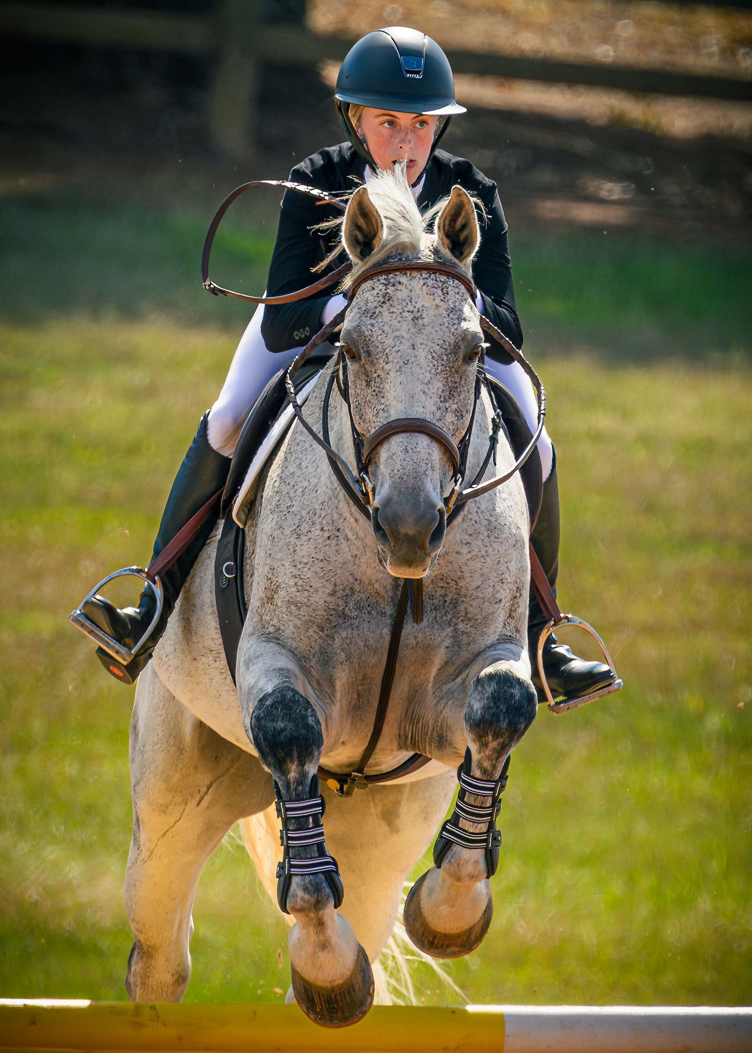 Private Show Photography - Weekend Pass