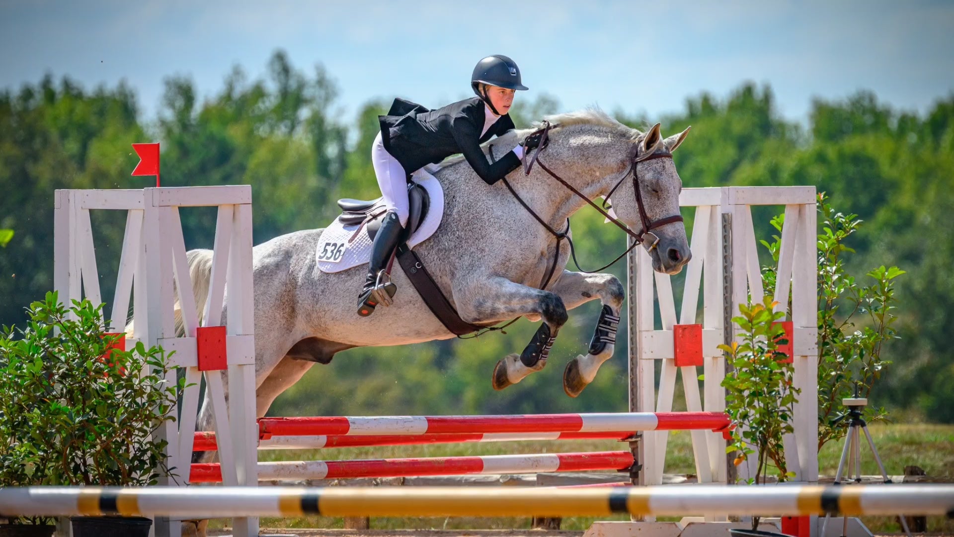 Private photographer Sean Stacey, based in Texas, creates luxury equestrian show photography for hunter / jumper shows. 