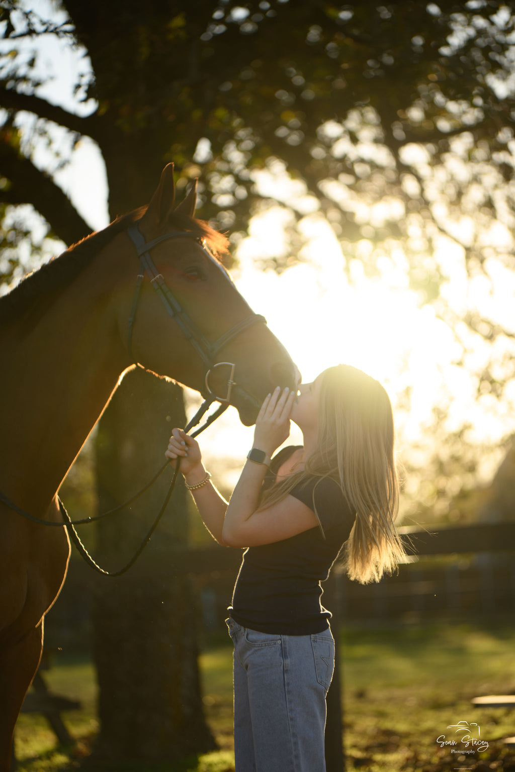 Equestrian Senior Portraits- 'Senior Story' Session