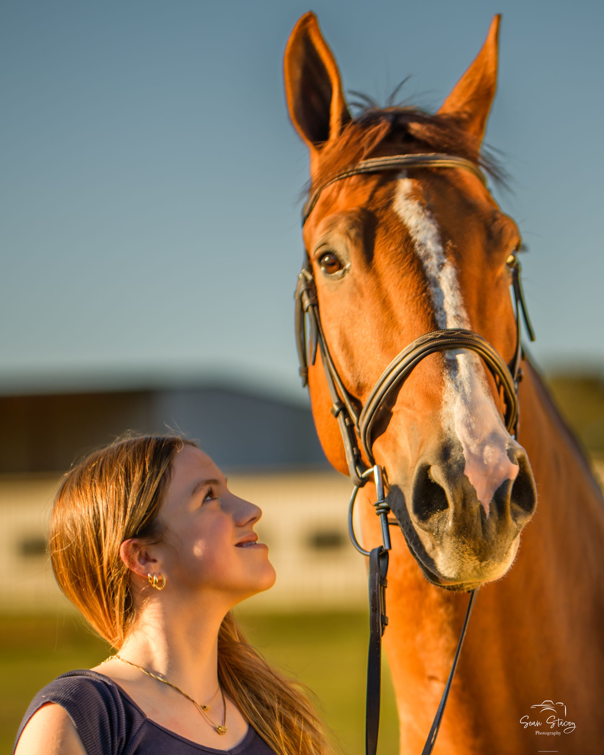 Horse & Rider Photoshoot- Legacy Fine Art