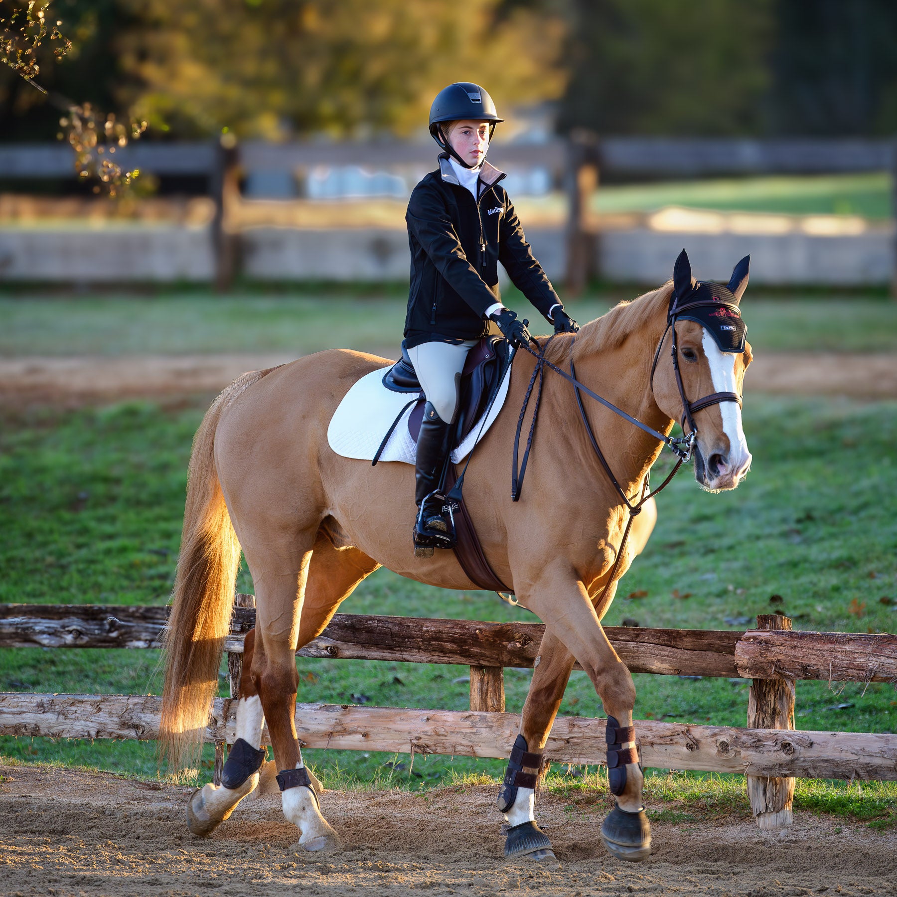 Private Show Photography - Weekend Pass